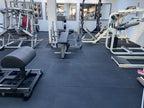 Gym / Stable Mat 6 x 4ft x 12mm and 17mm (Ameoba Top)