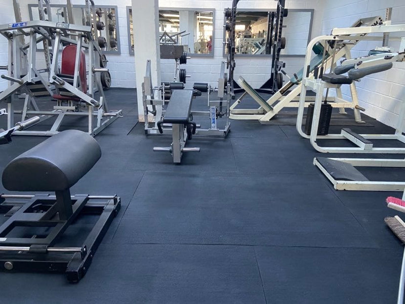 Gym / Stable Mat 6 x 4ft x 12mm and 17mm (Ameoba Top)