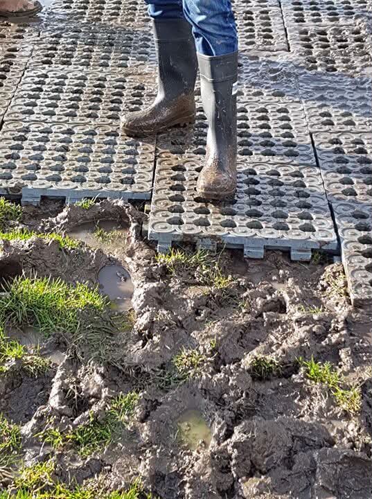 Heavy Duty Mud Control Plastic Slab/Size-50CMX50CM